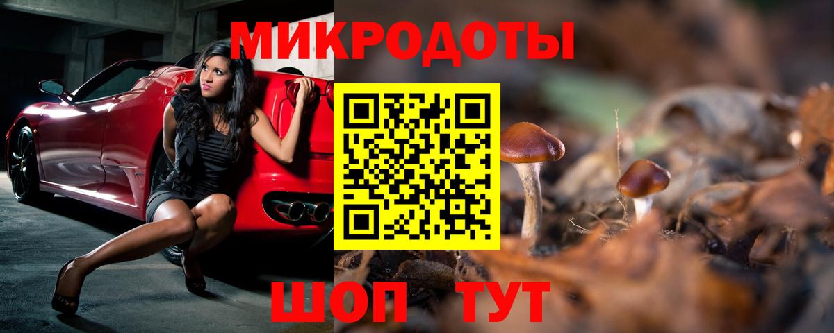 Соликамск  Псилоцибиновые грибы Psilocybine cubensis  Вход с VPN 